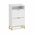 Schuhschrank mit 2 Klappen MDF und Metall Weiß/Gold 80x30x120 cm